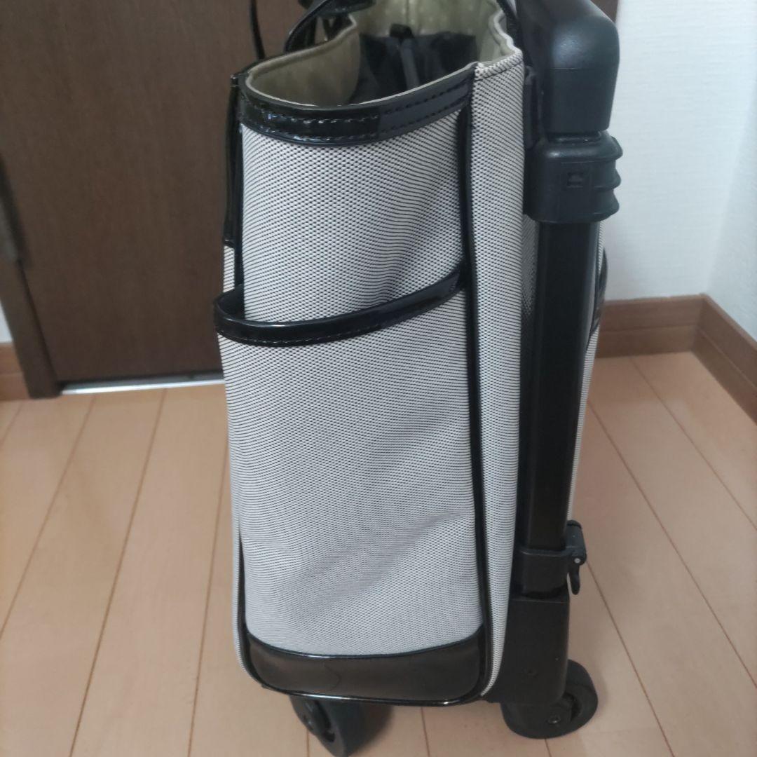 【超希少】 Swany（スワニー）キャリーバッグ WB-0930