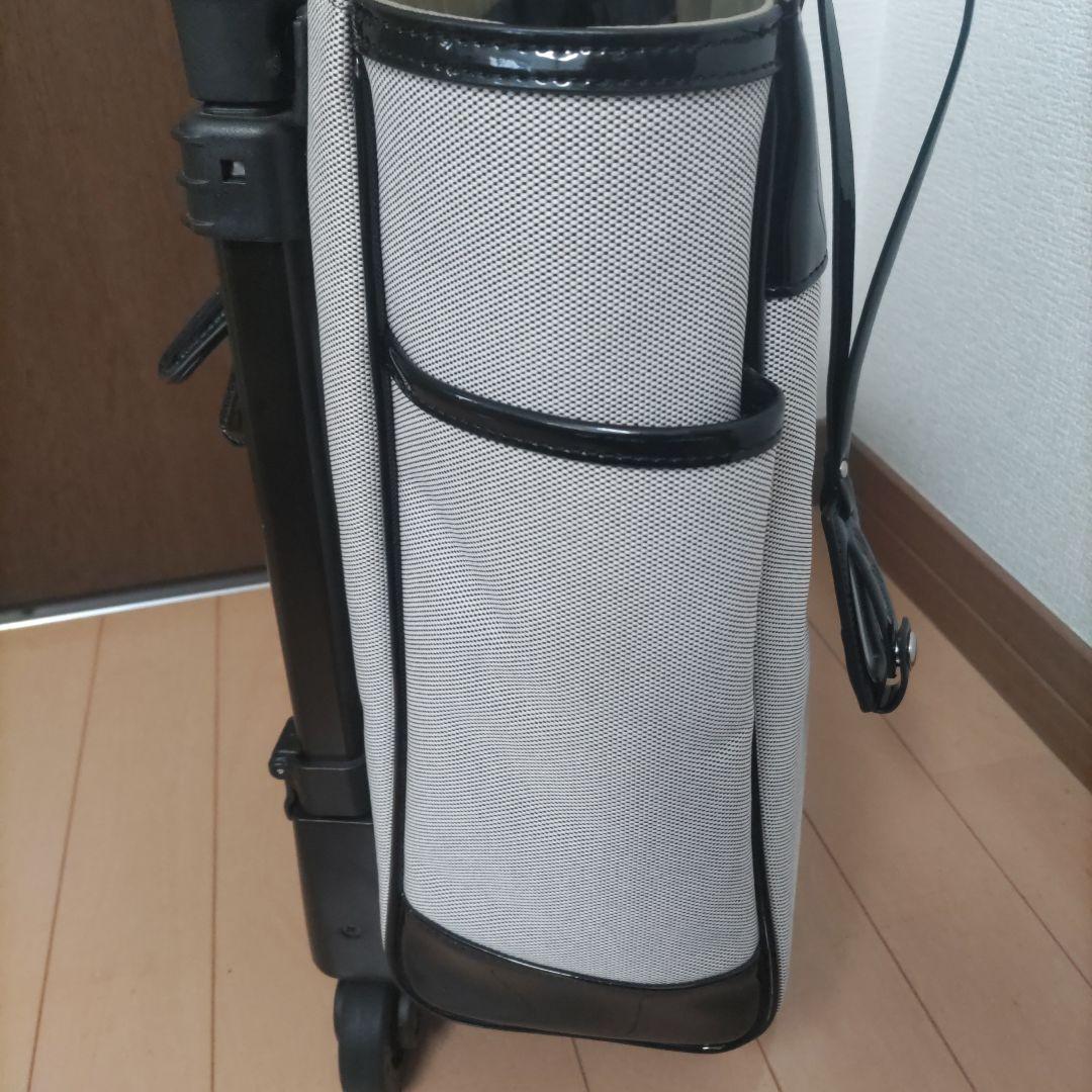 【超希少】 Swany（スワニー）キャリーバッグ WB-0930