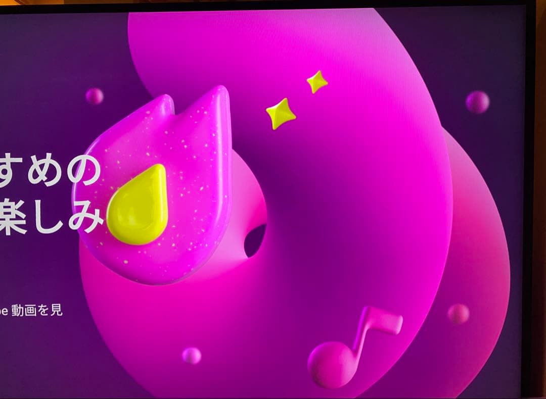 【金欠学生】BRAVIA KJ55X9300D ソニー55インチ4K