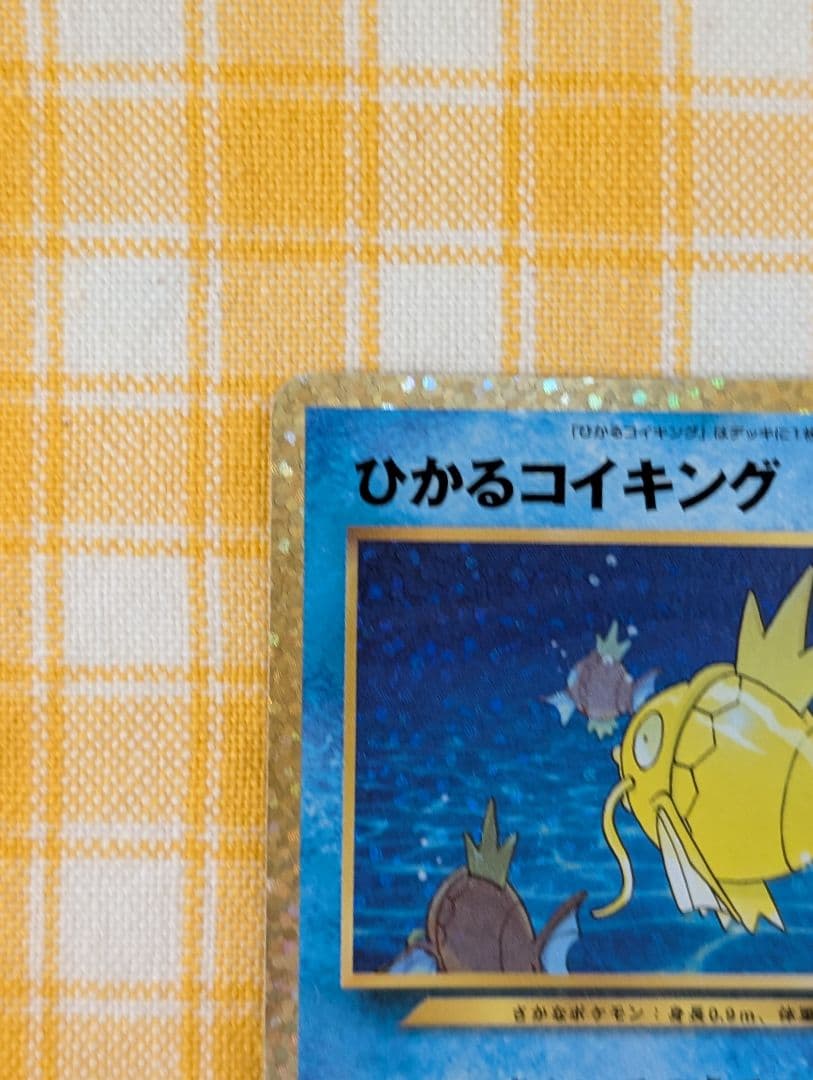 ひかるコイキング　25th