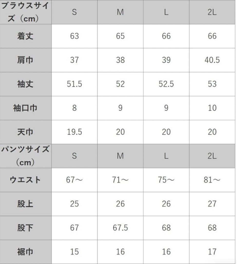 4点セット パンツスーツ サイズ2L