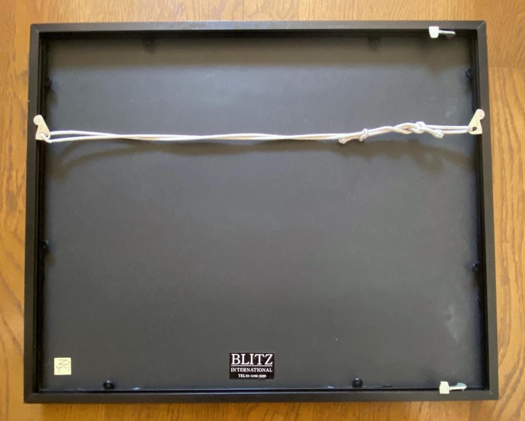 エレン・フォン・アンワース「GANG STER」オリジナル・プリント額装