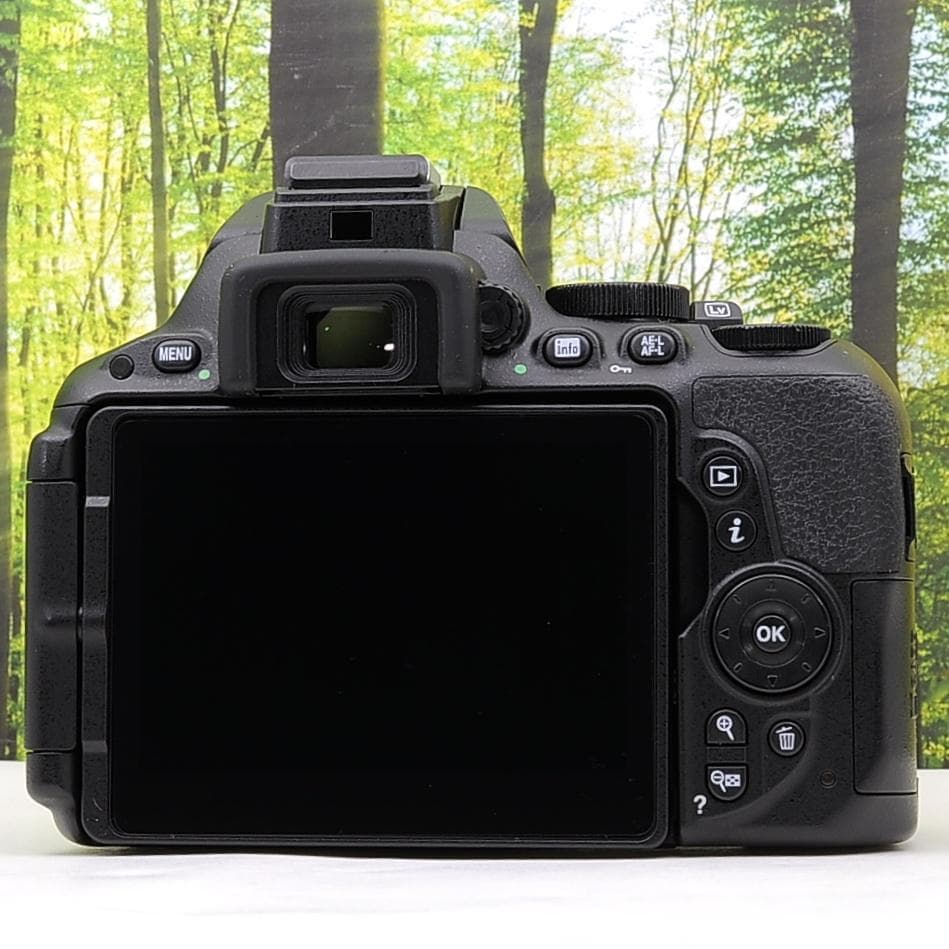 ショット数3765枚☆スマホ転送機能付☆Nikon D5500☆新型レンズセット