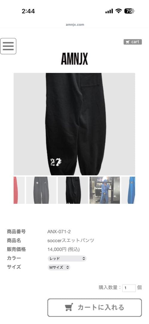 AMNJX セットアップ