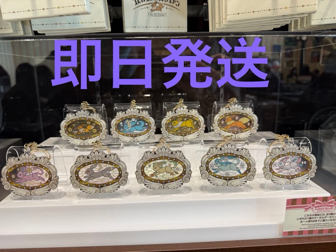 ポケパークカントー限定　イーブイズ　アクリルキーホルダーフルコンプセット
