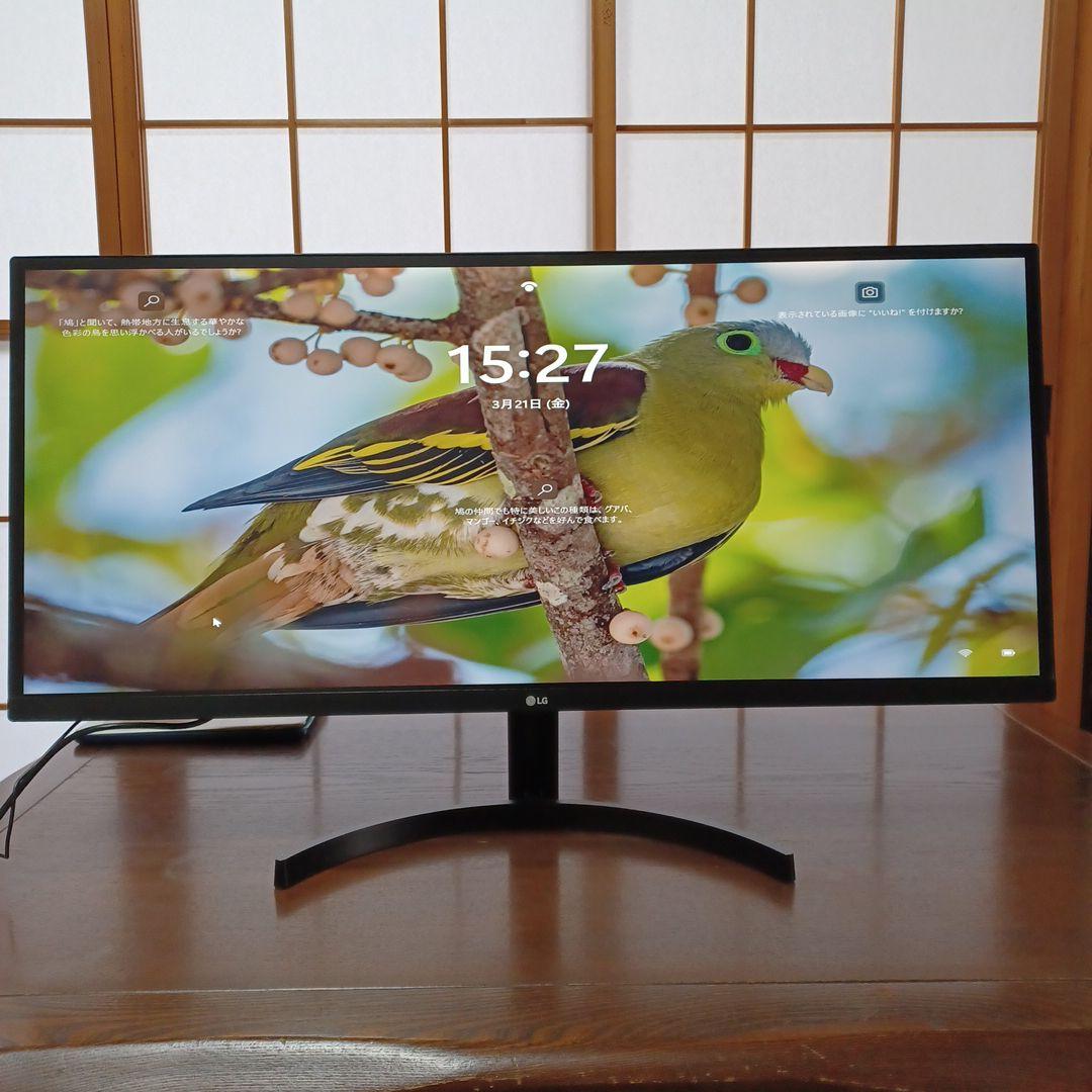LG モニター UltraWide Monitor 34WL500