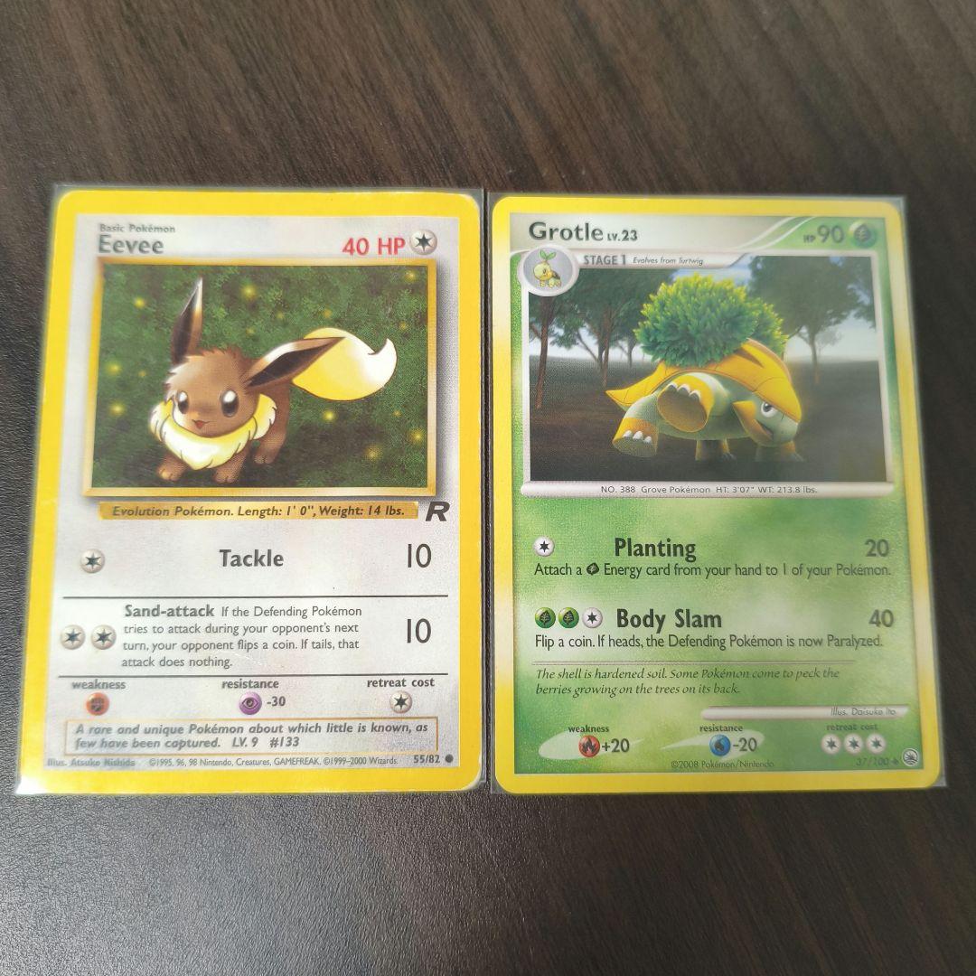 【海外版】【希少】Eevee55/82　GrotleLV.23 37/100