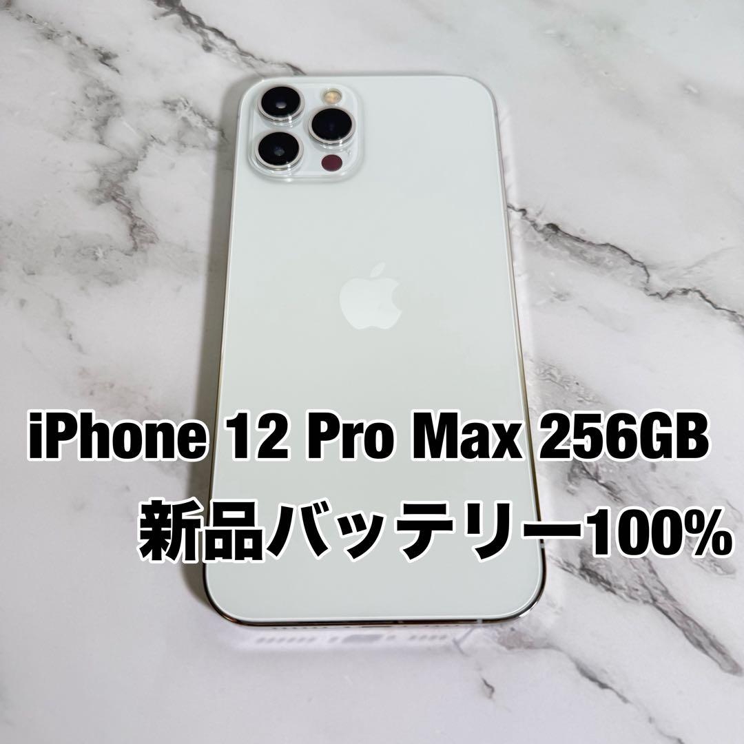 ★バッテリ100% iPhone12 Pro Max 256GB SIMフリー