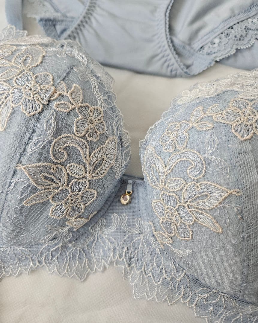 ワコール パルファージュ D75ブラジャー&LLショーツ2枚計3点定価19470