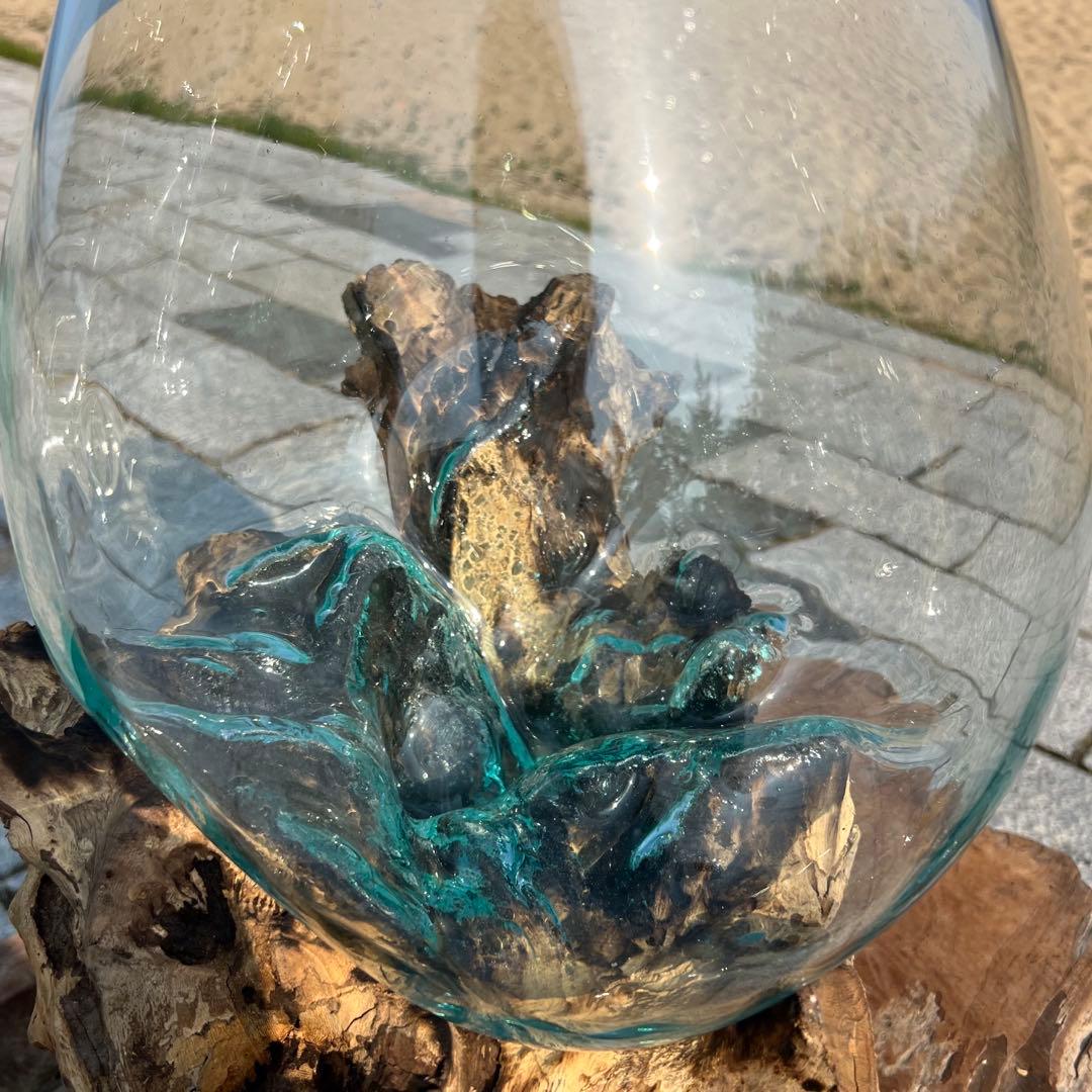 デッカい流木ガラスオブジェWC 花瓶 金魚鉢 水槽 苔リウム メダカ容器 超大型