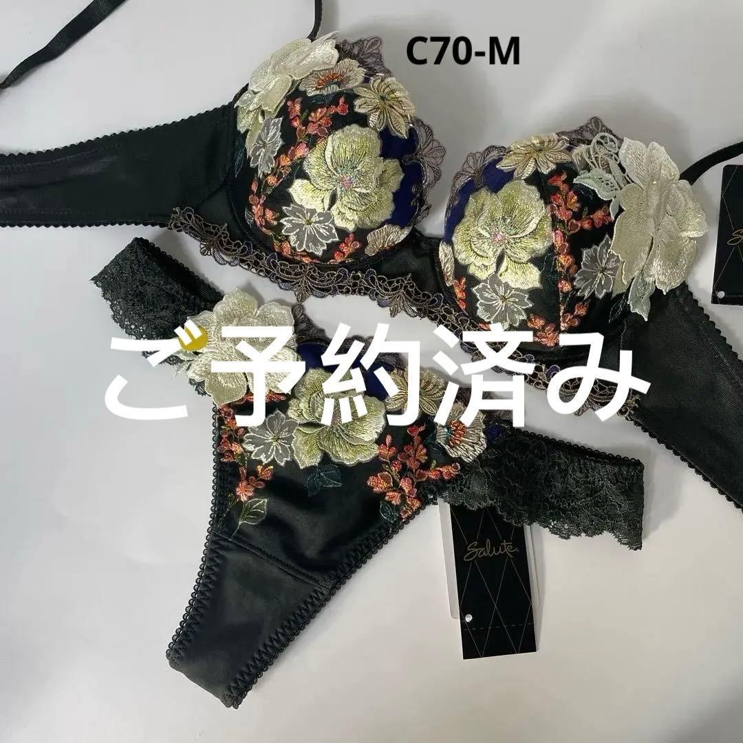 サルート　93g ニューヨーク　P-upブラ　セットC70M