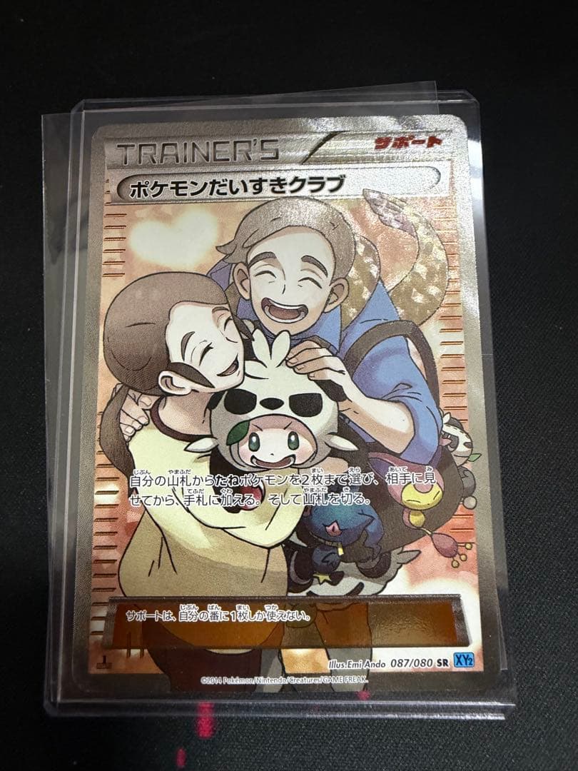 ポケモンだいすきクラブ SR XY2 ワイルドブレイズ 087/080