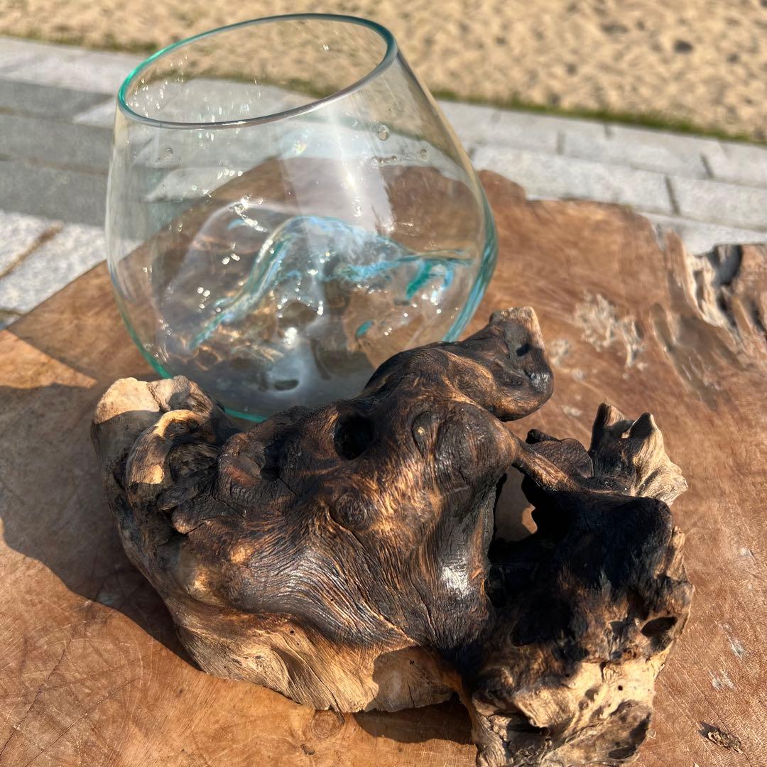 流木ガラス オブジェ中P 花瓶 金魚鉢 ガーデニング テラリウム 観賞魚 容器