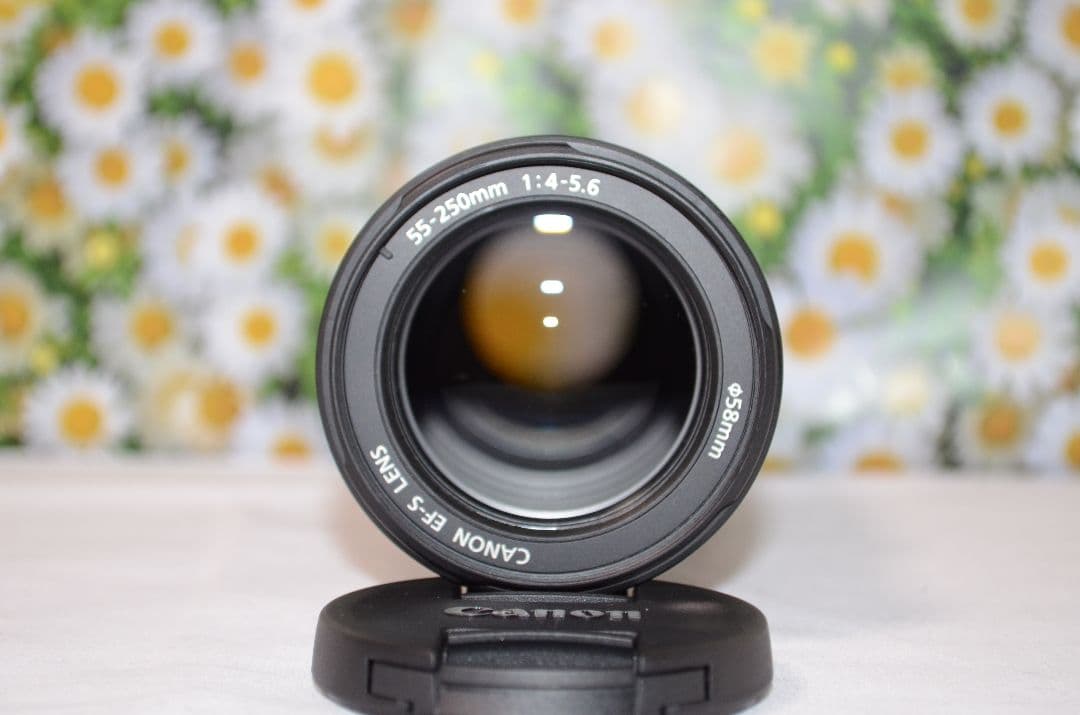 ❤❤Canon EF-S 55-250mm F4-5.6 IS❤手振れ補正❤望遠