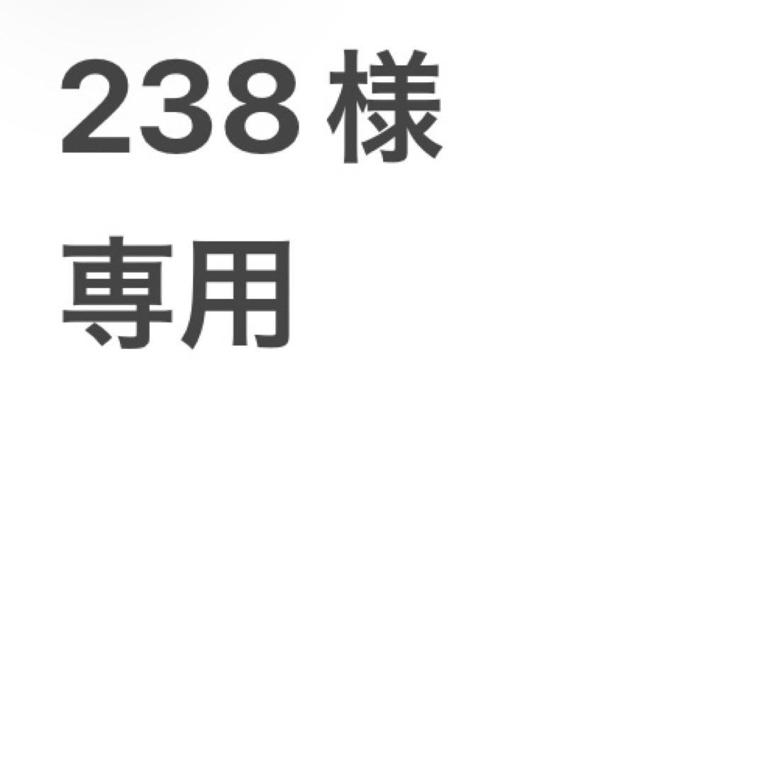 その他 238