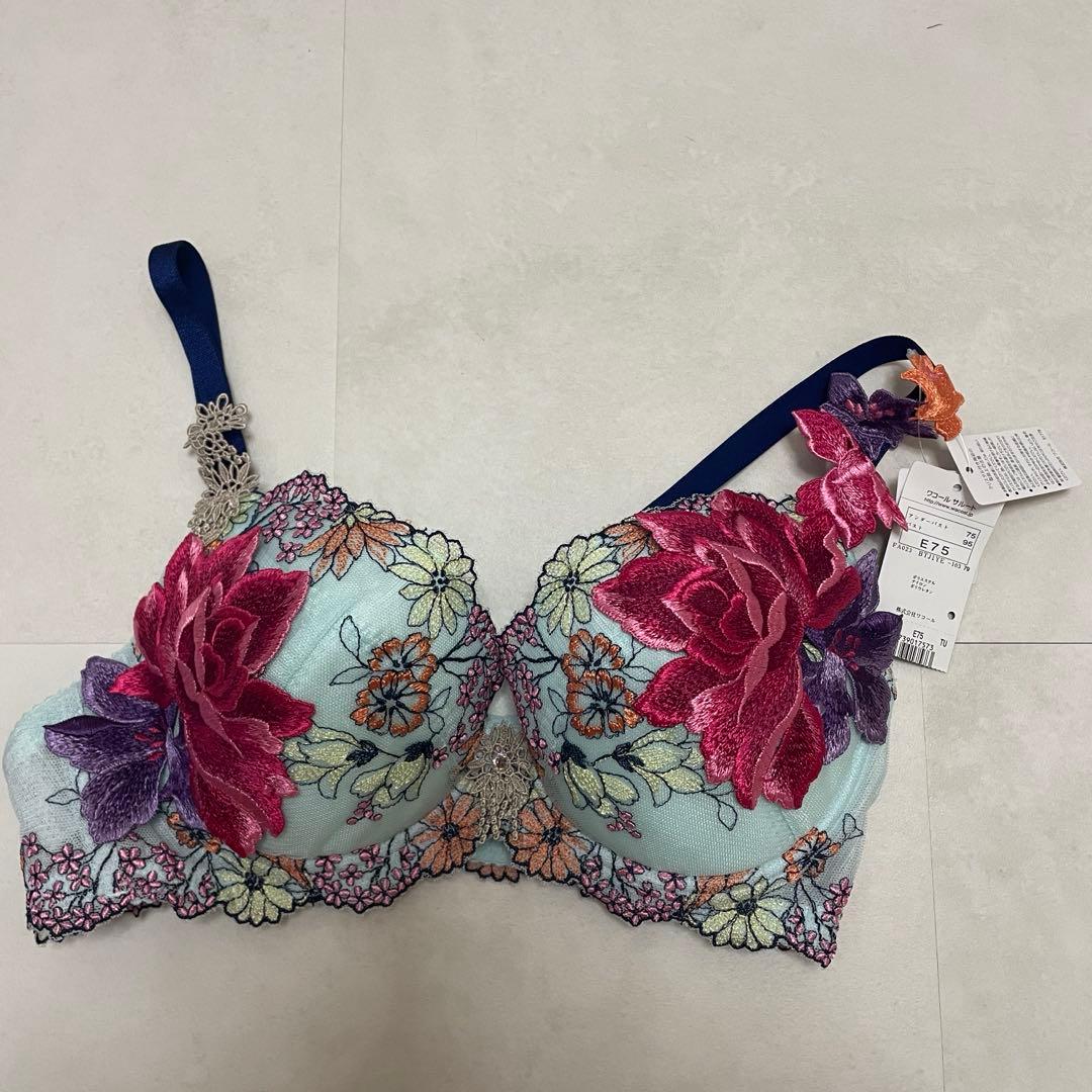 サルート　74G TU ブラジャー　E75