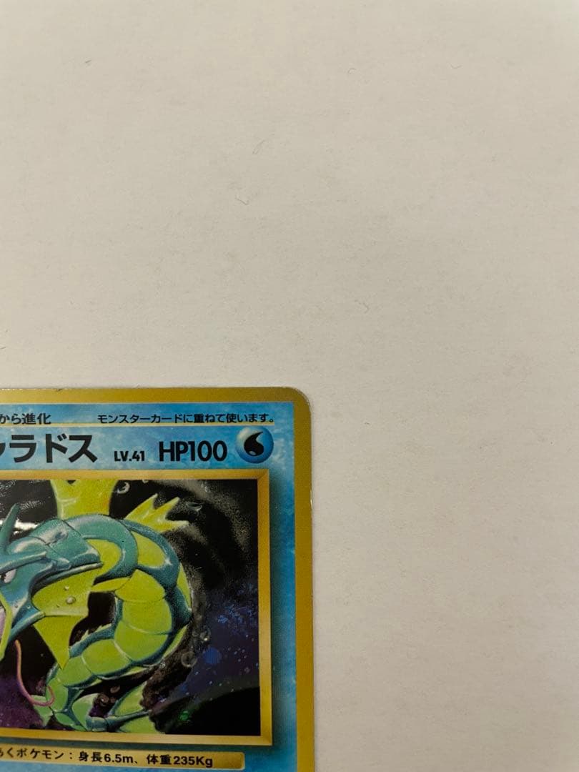 ポケモンカード 旧裏 ギャラドス コイキング 初期 初版 マークなし 進化ライン