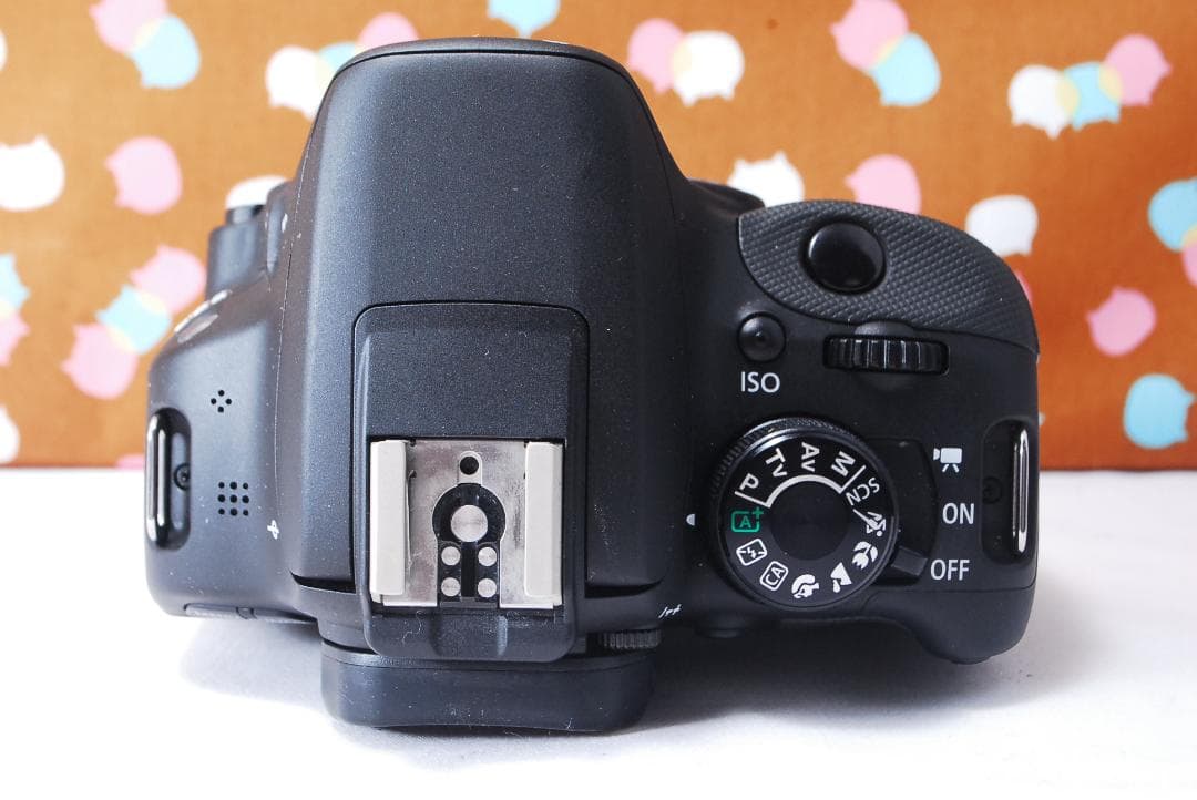 ✨超美品✨ショット数2183回✨Canon kiss X7 ダブルレンズセット