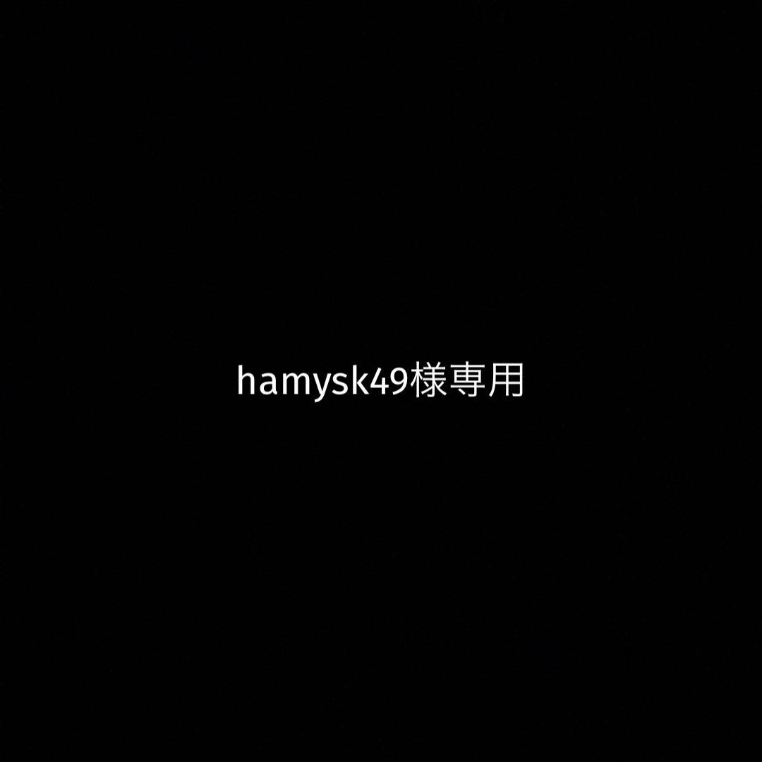 語学・辞書・学習参考書 hamysk49