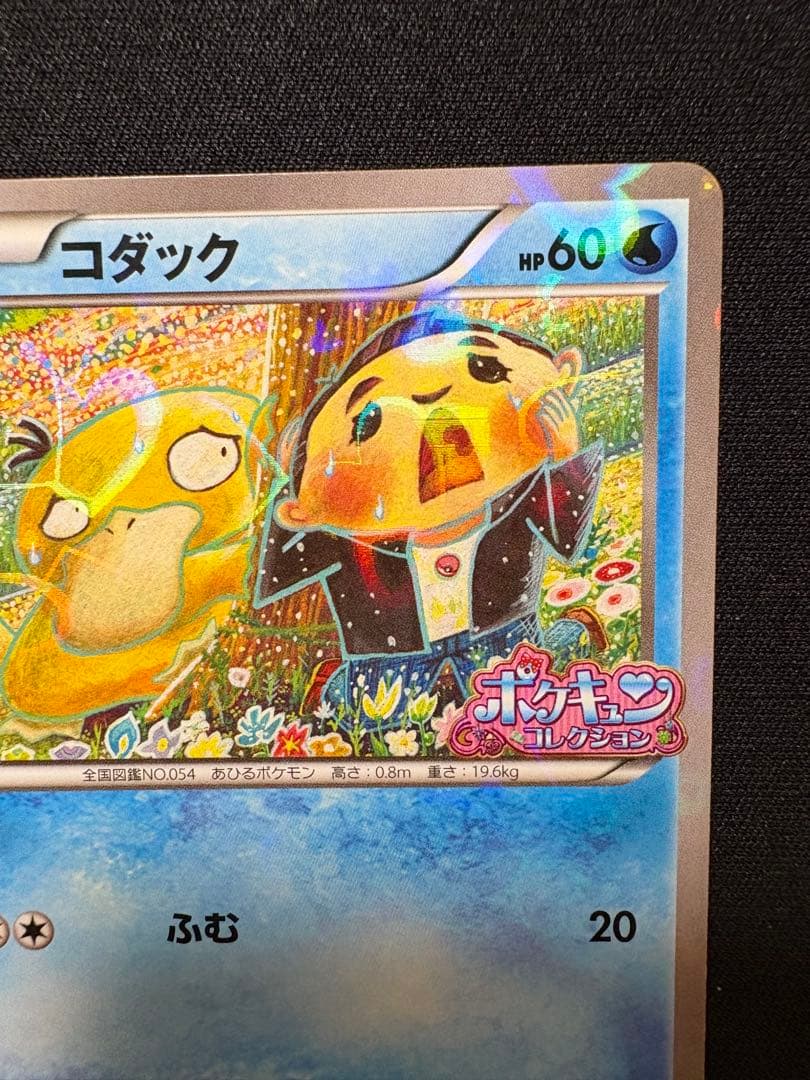 XY-P コダック_ポケキュンコレクション キャンペーン　増田順一 コラボ P…