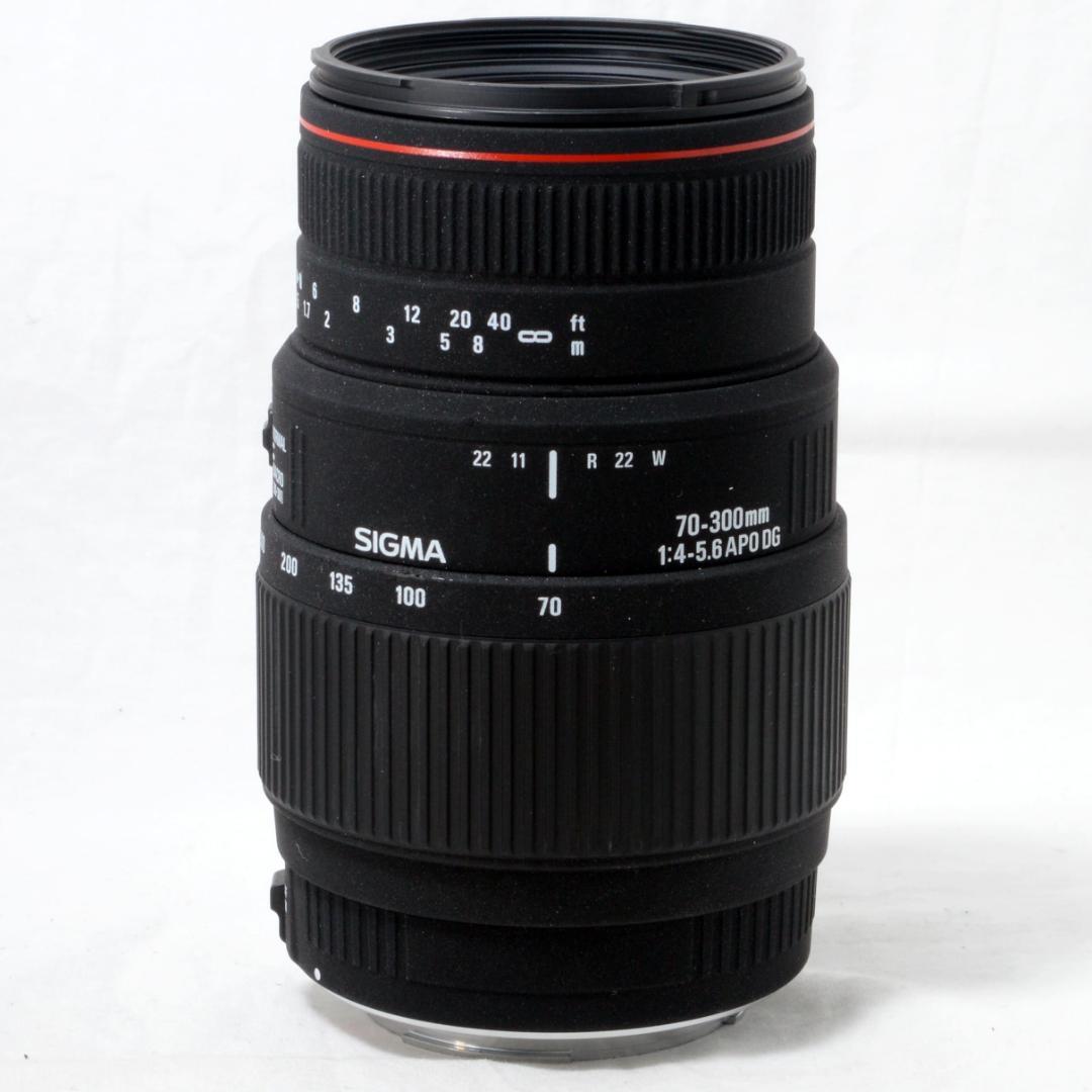 ★外観美品★SIGMA シグマ 70-300mm APO DG キヤノン用