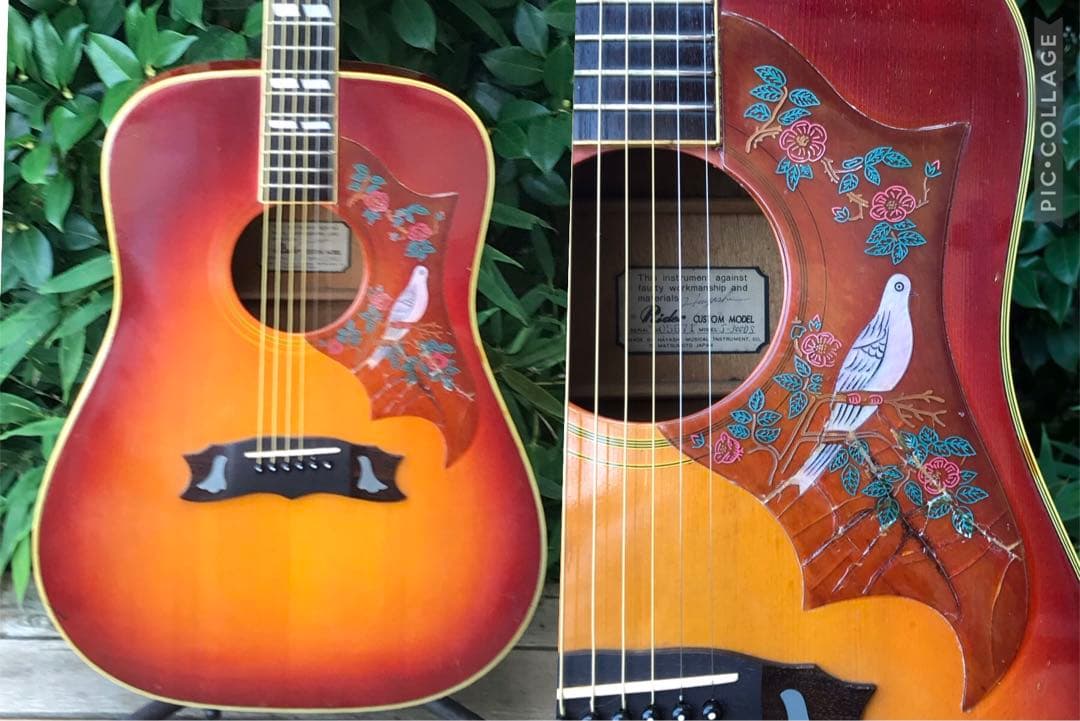 Rider J-300DS Model ライダー 林楽器