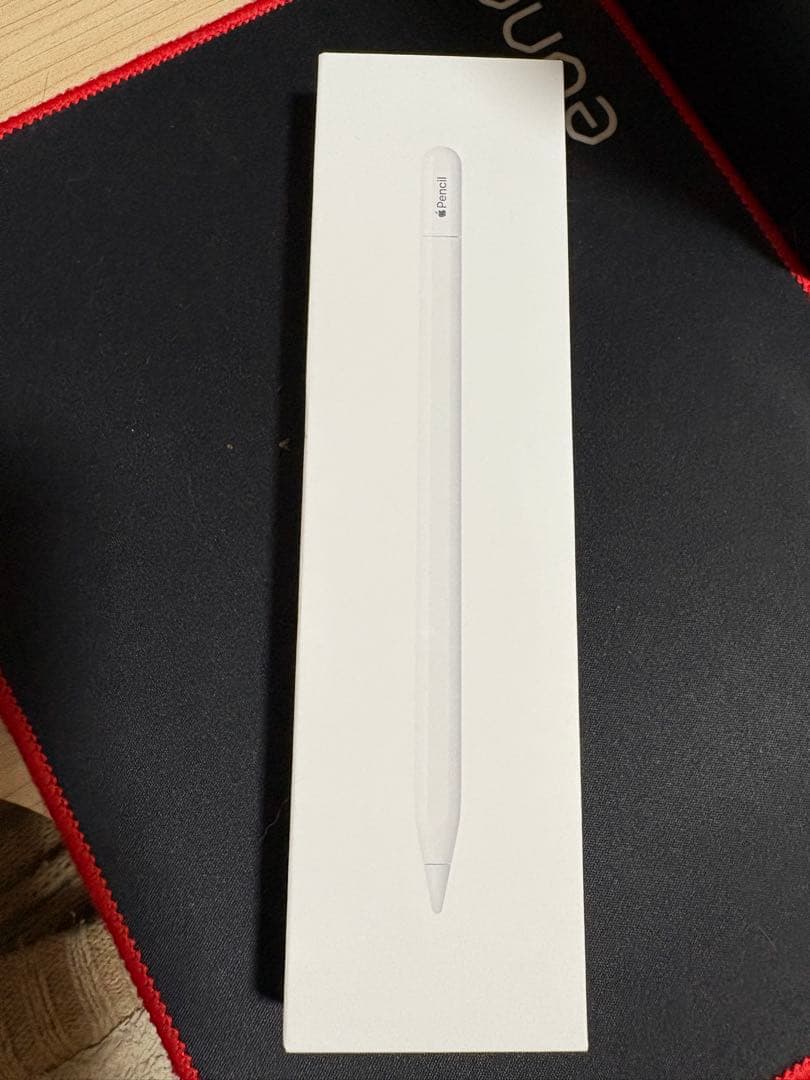 Apple Pencil (USB-C) (ほぼ新品)