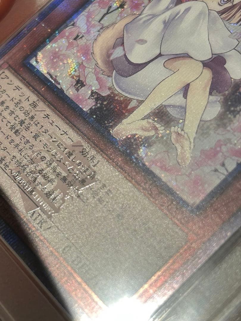 遊戯王 灰流うらら　絵違い　25th クオシクpsa10 アーコレ ②