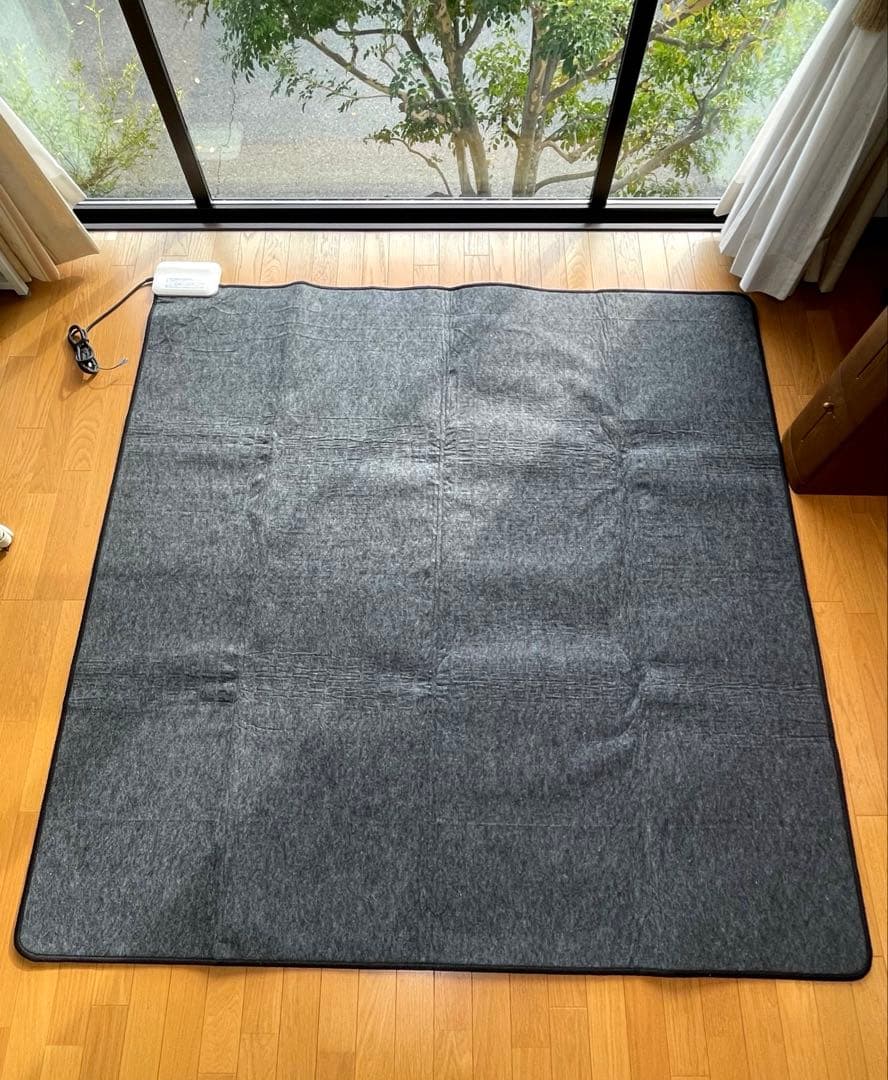 Electrolux (エレクトロラックス) 電磁波カット　ホットカーペット