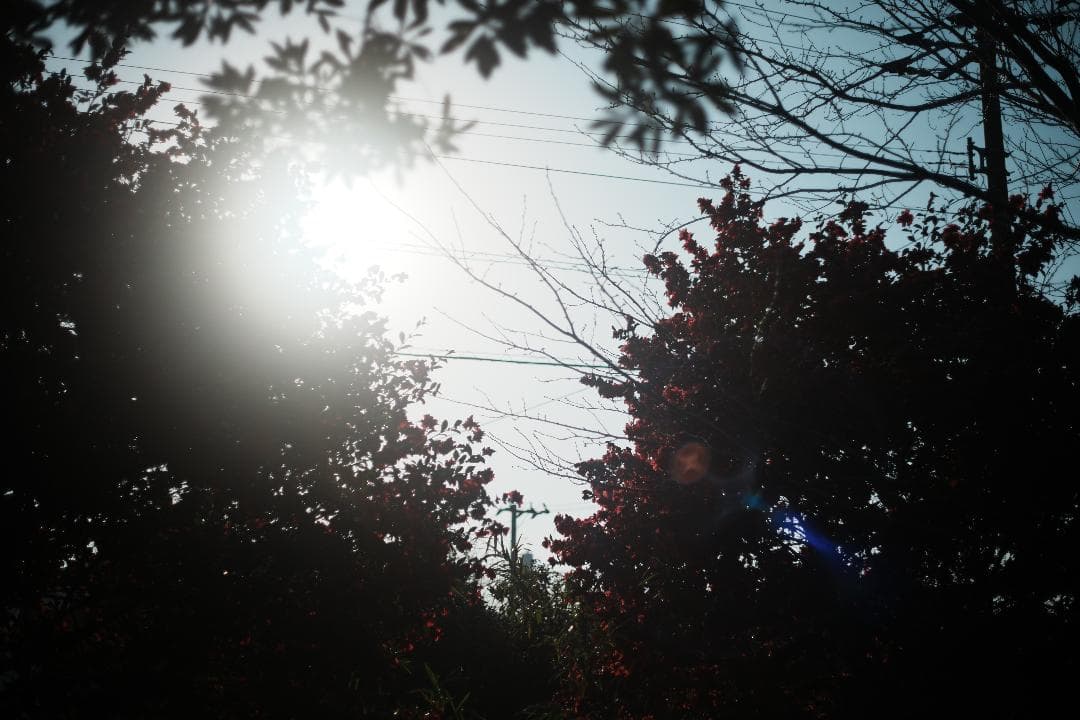 【この値段でライカ級】富岡光学製 XR RIKENON 50mm F2 835