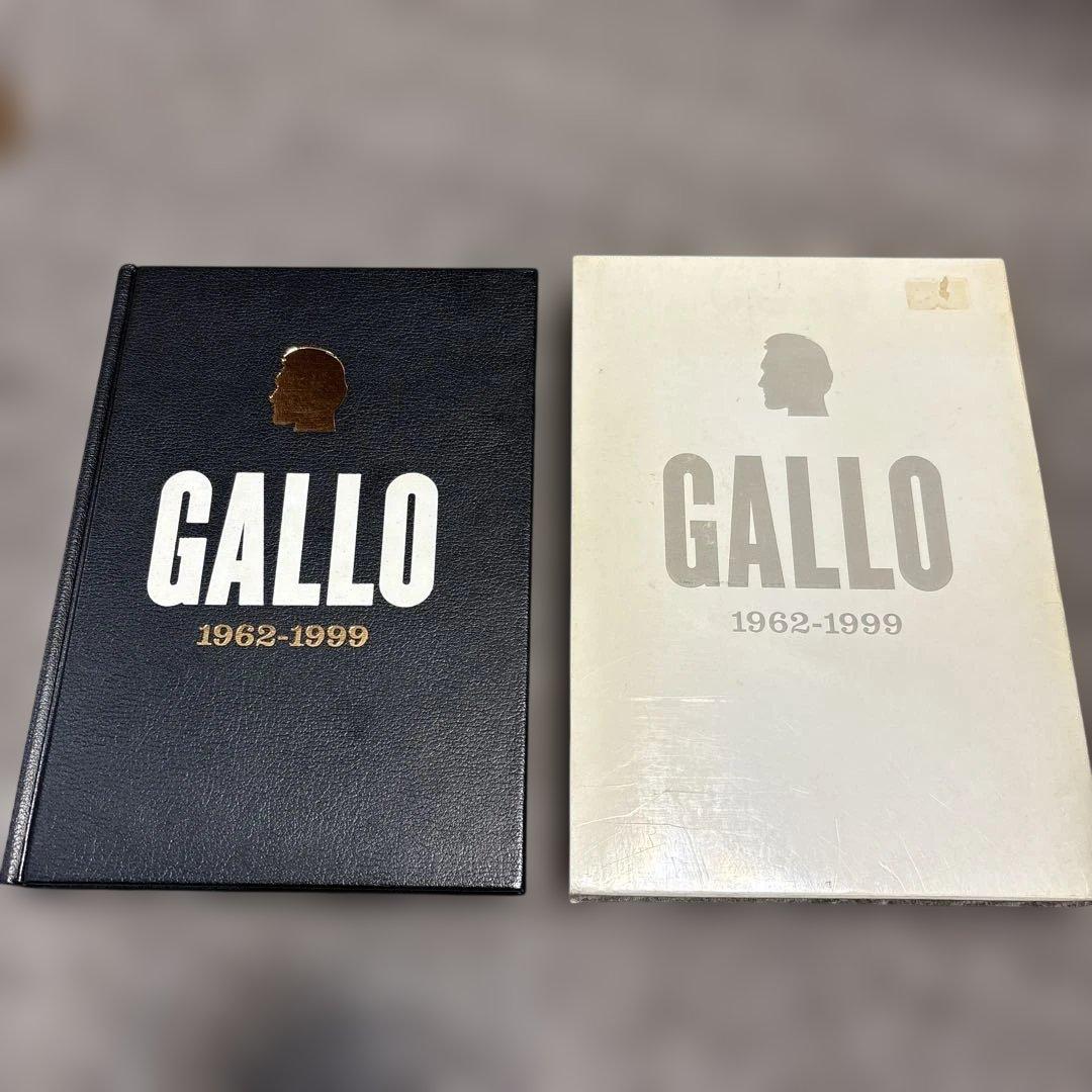 J5/ Vincent Gallo 1962-1999 ヴィンセント•ギャロ