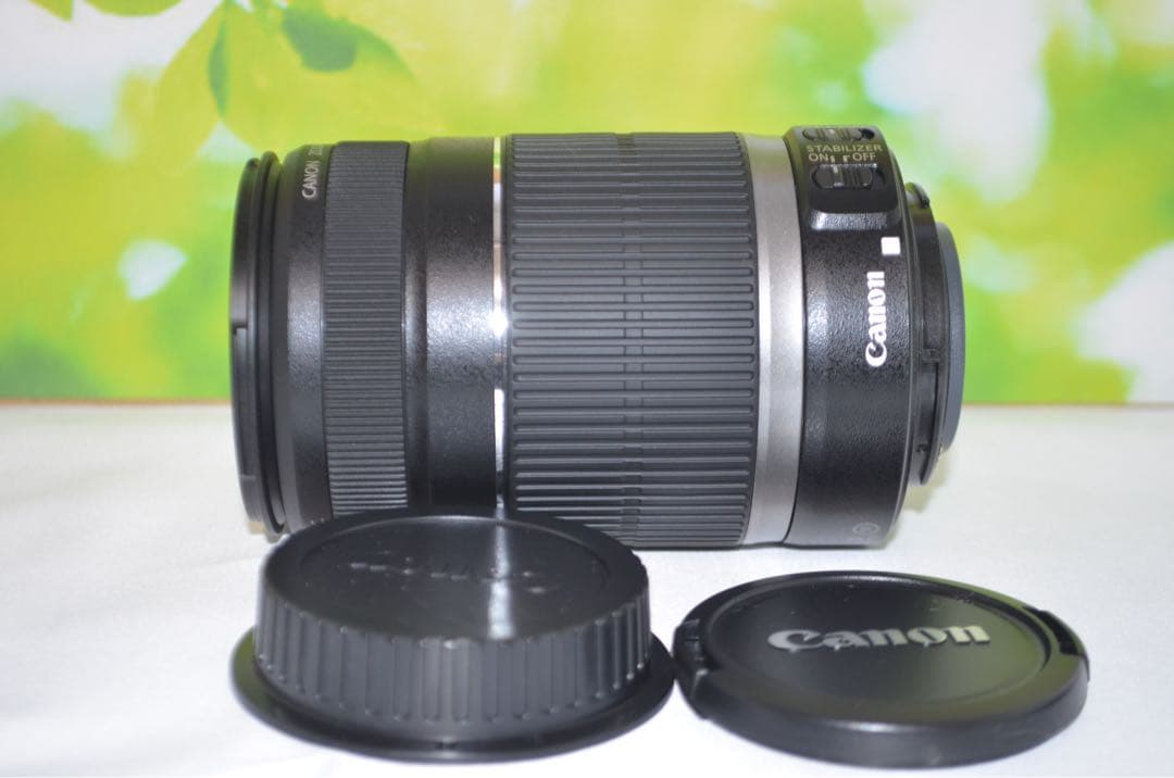 美品級　キャノン Canon EF-S 55-250mm IS☆お手軽望遠