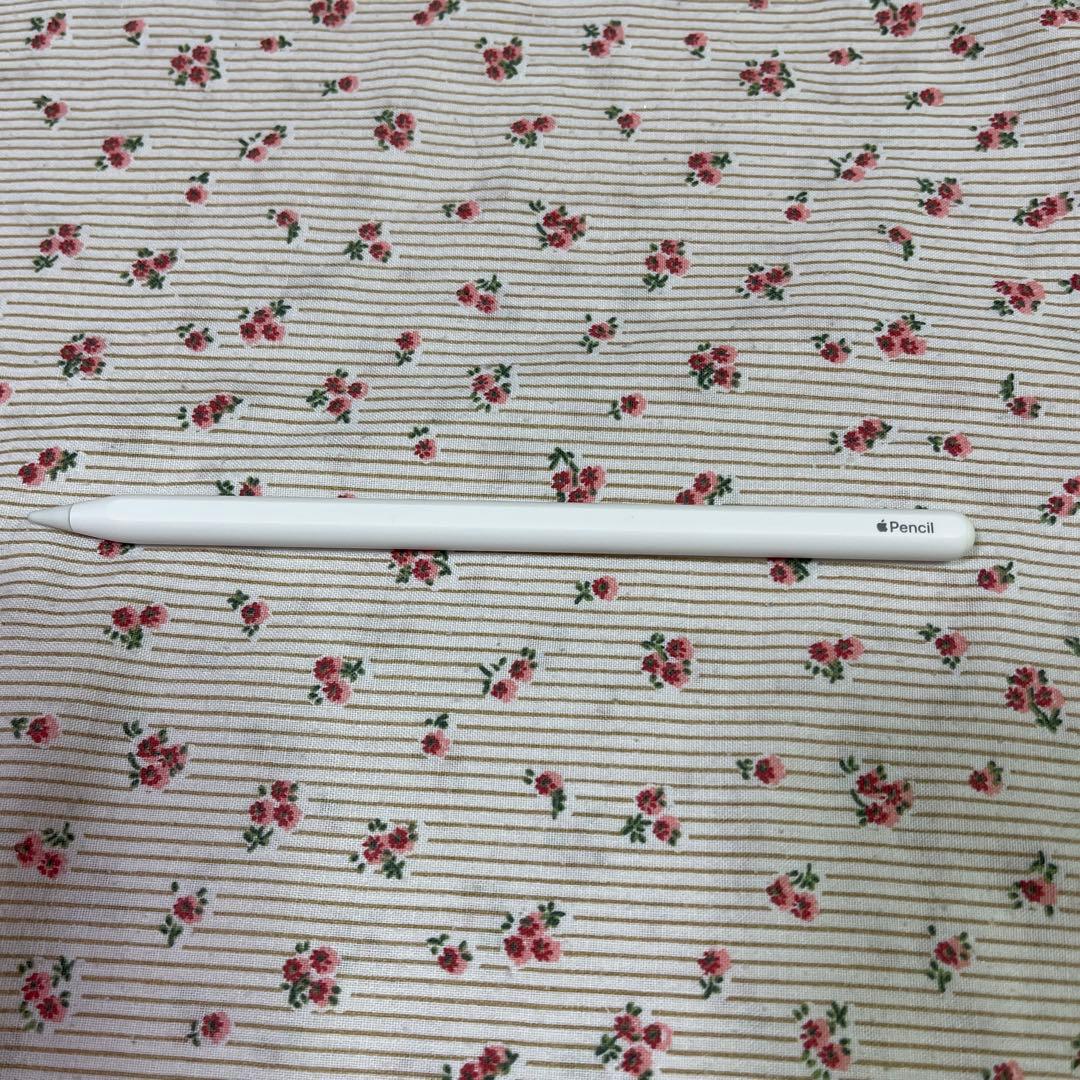 Apple iPad pro 第4世代 11 wifi applepencil