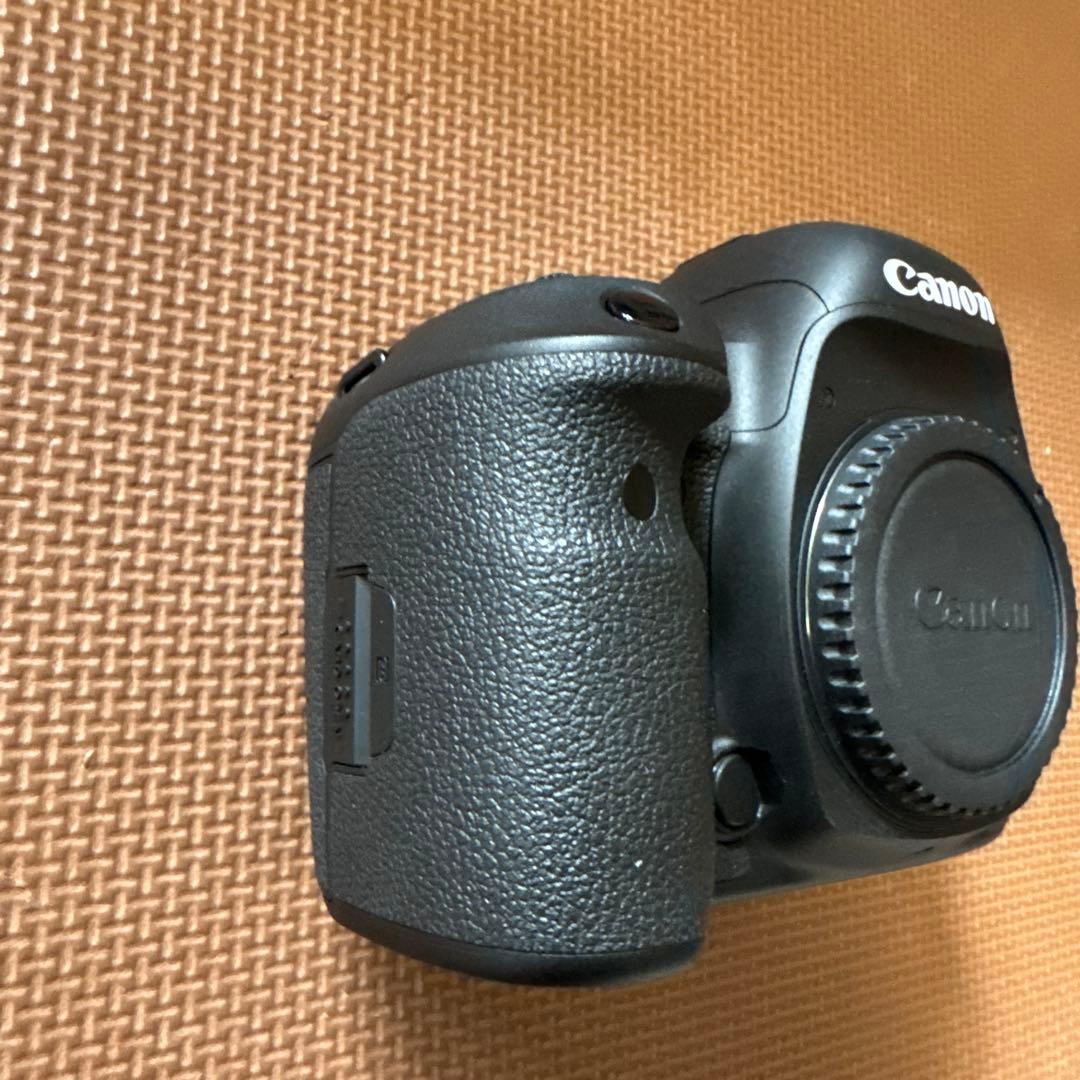 極美品　Canon EOS 5D MarkⅣ 単焦点レンズセット　EF 50mm