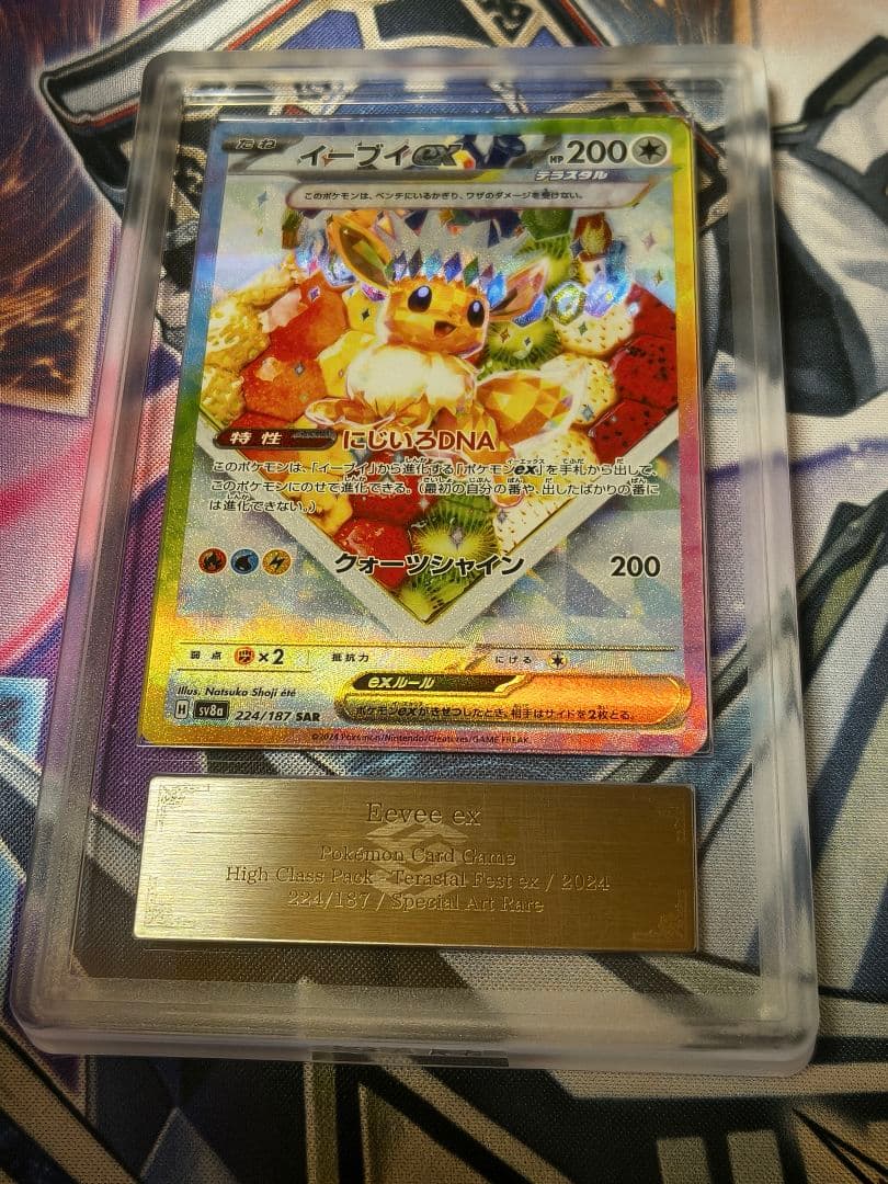 ARS10 イーブイex SAR テラスタルフェスex 224/187