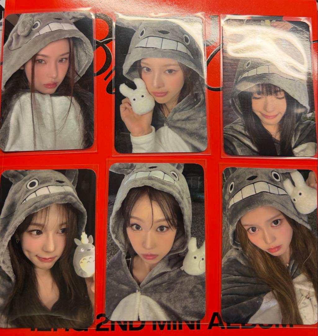 izna トレカ　特典　ラキドロ　Everlineトトロ