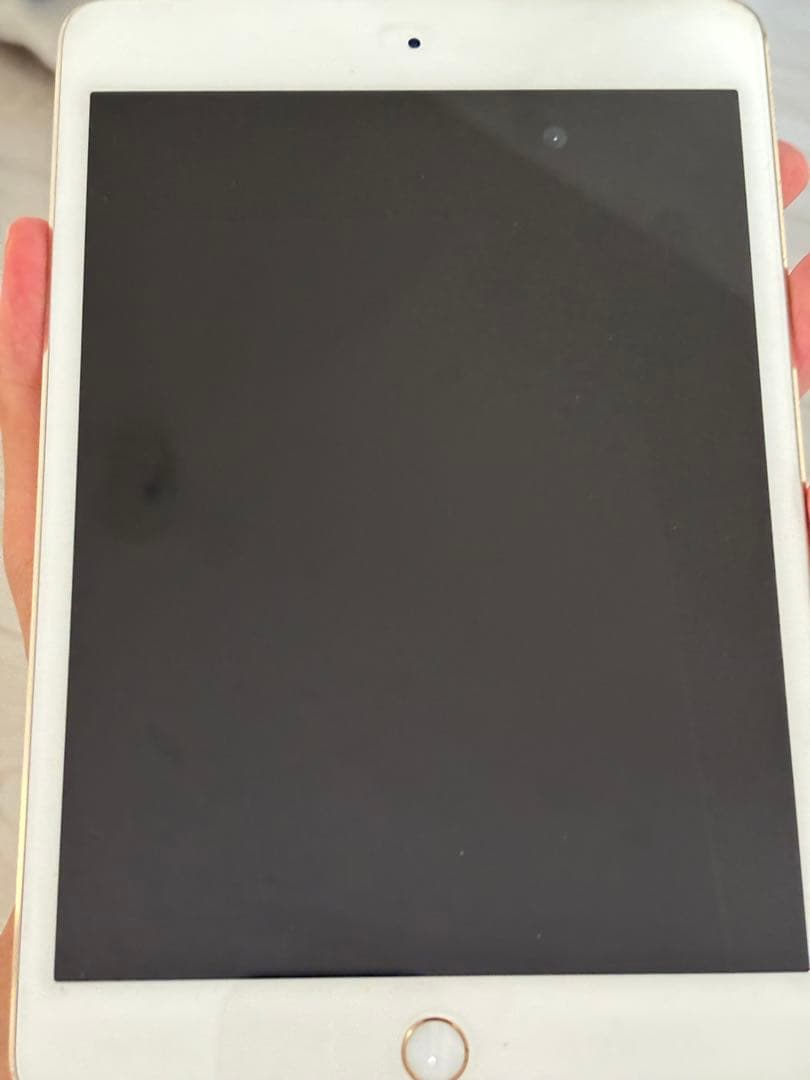 iPad本体 iPad4 mini