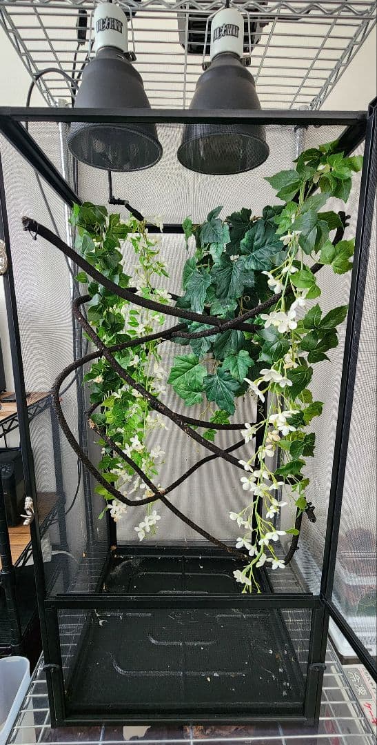 爬虫類ケージ GEX エキゾテラ スクリーンテラリウム 4590 メッシュケージ