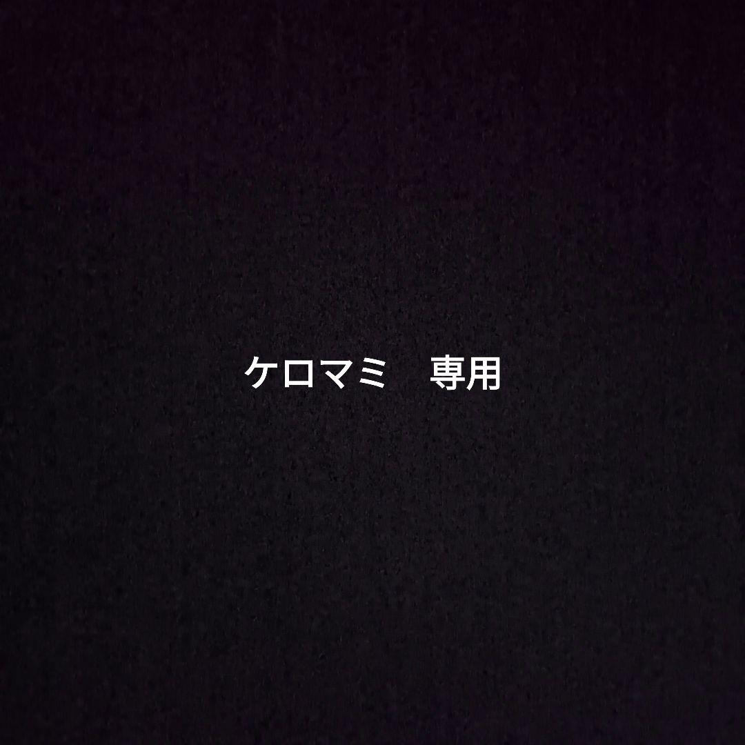 Amway アムウェイ フードプロセッサー、ミニジューサー