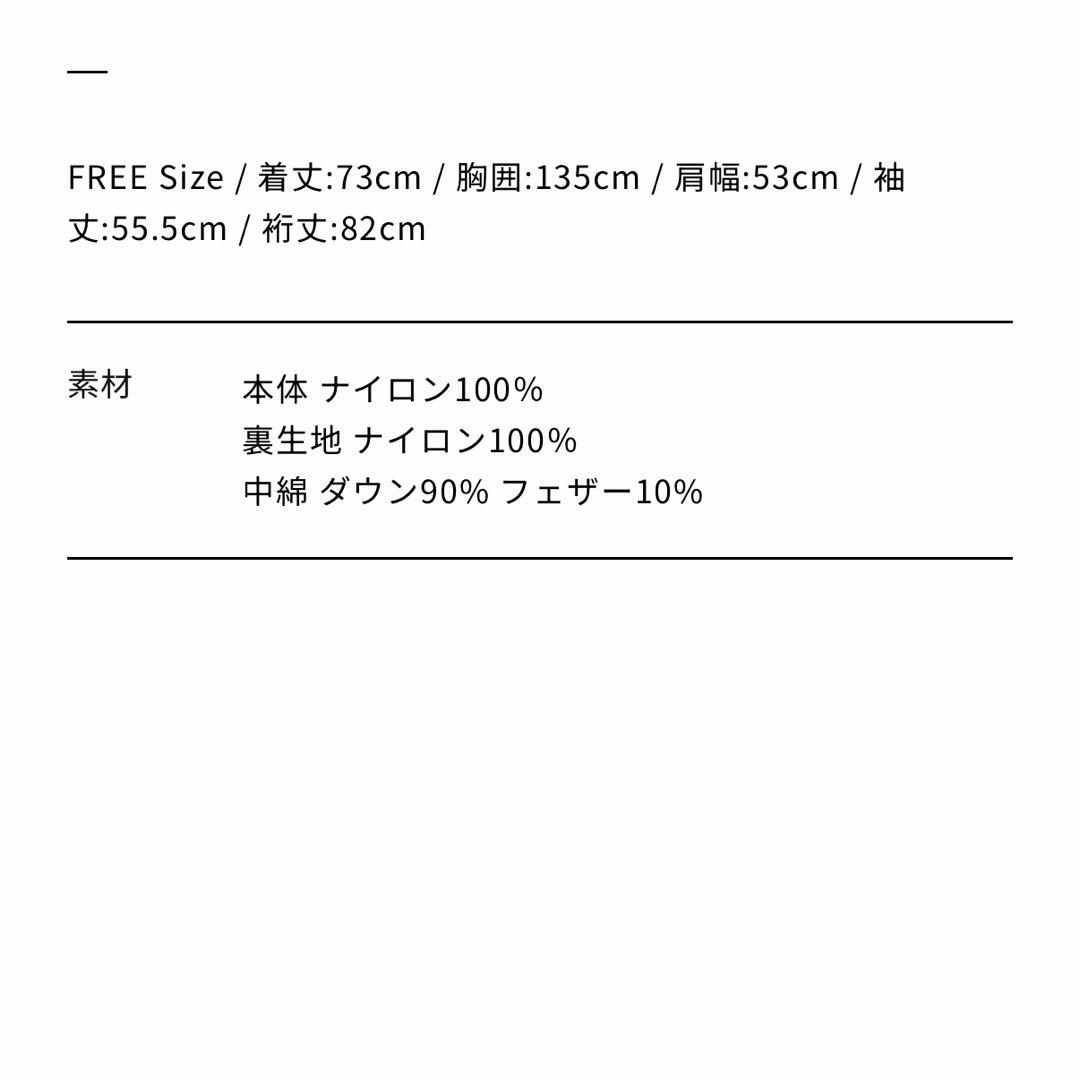 DAIWA PIER39　W's TECH ALPINE DOWN PARKA