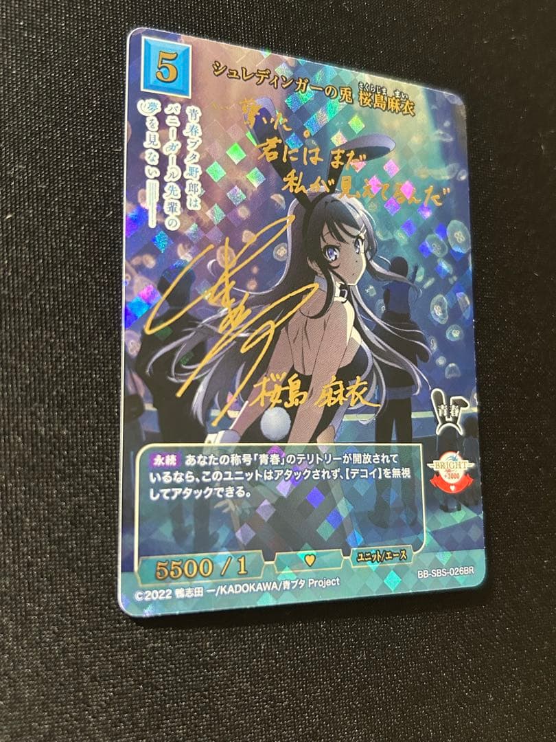 シュレディンガーの兎　桜島麻衣　br ビルディバイド青ブタ