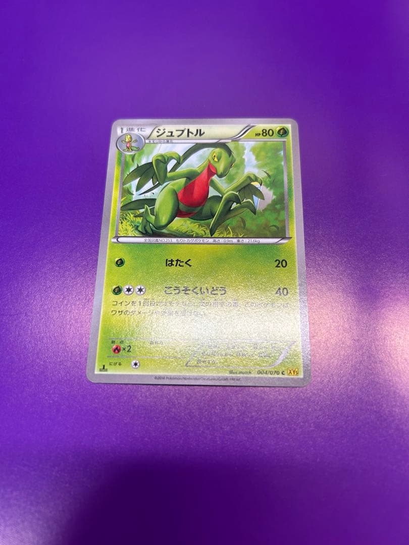 蛙帰るメガバシャーモex レックウザメガバトルポケモンカードプロモ　御三家