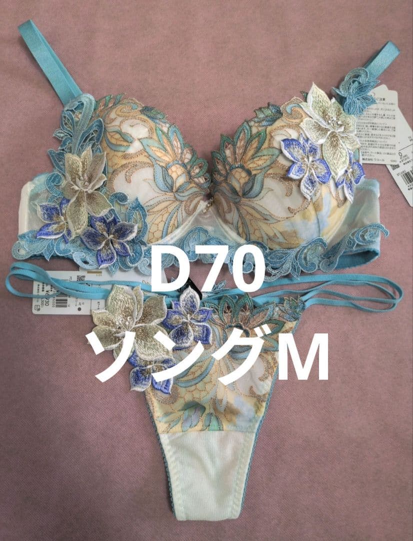 サルート　新品未使用　80g　アラジン　ブラD70　ソングM　ホワイト　水色