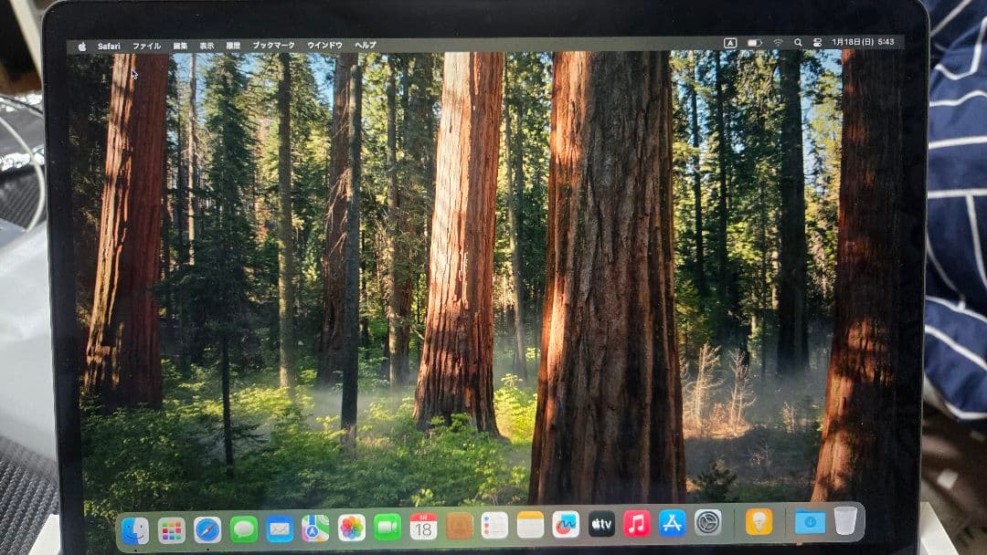 MacBook本体 MacBook Pro 2019 13inch i5 8GB 256GB