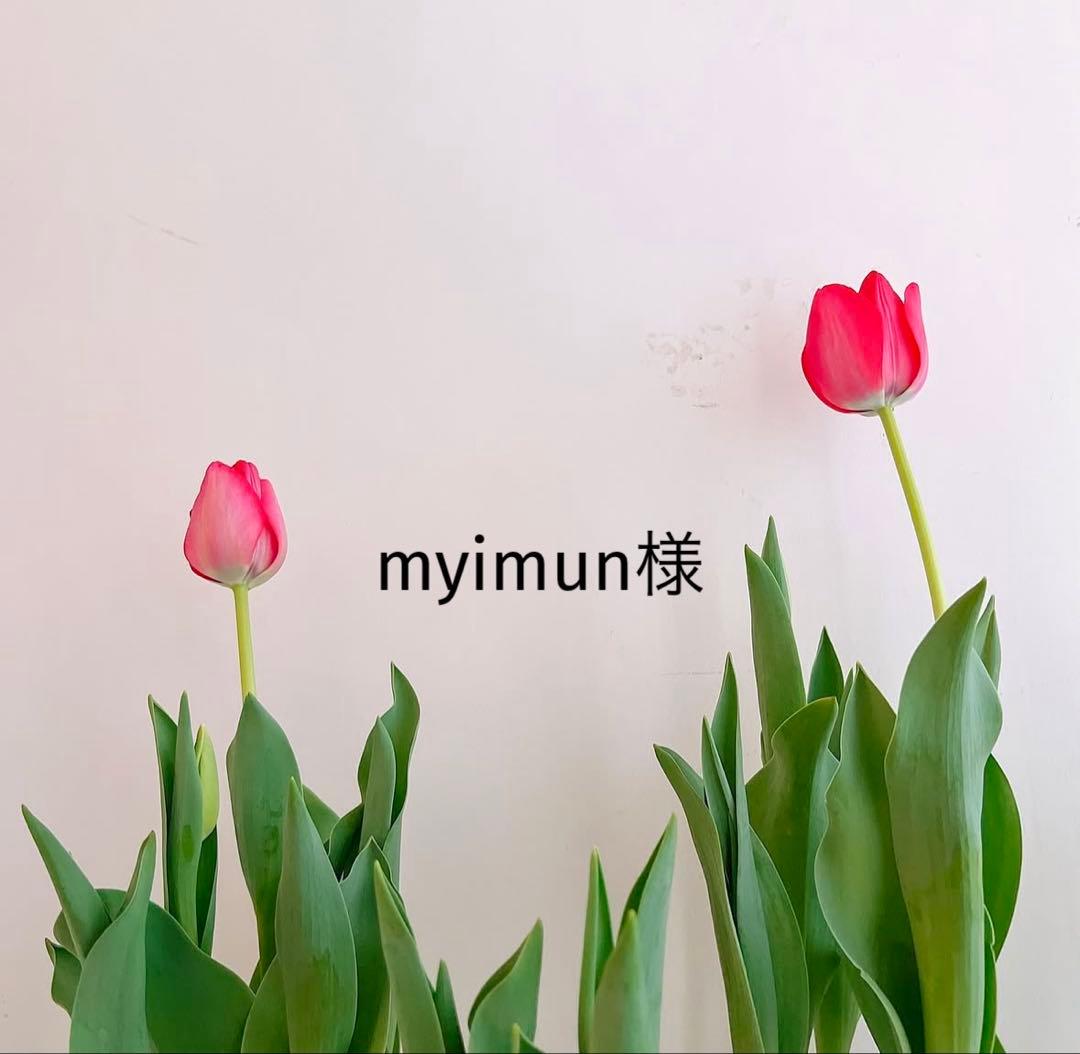 myimun様　おまとめ専用品