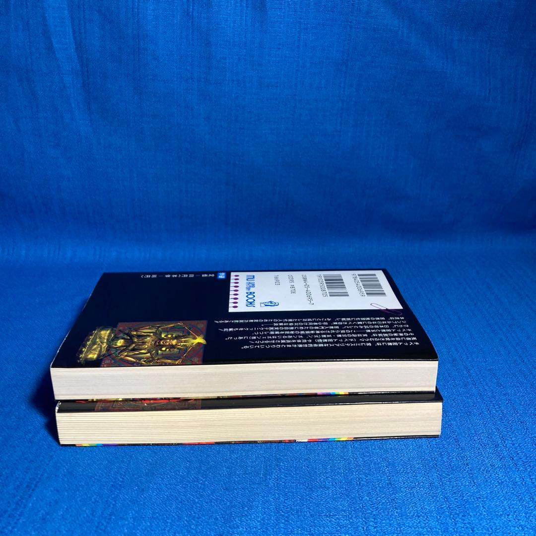 【レア本セット！】神秘！チベット密教入門　秘伝チベット密教奥義　高藤聡一郎