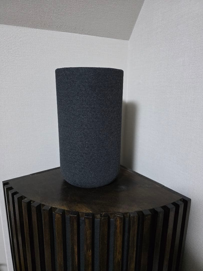 める　ソニーSA-RS5