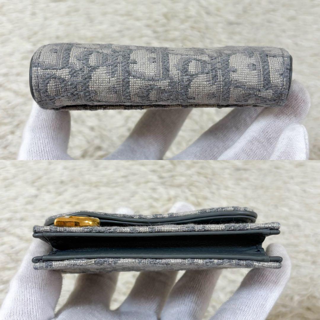 【未使用】クリスチャンディオール 名刺入れ オブリーク トロッター柄 サドル