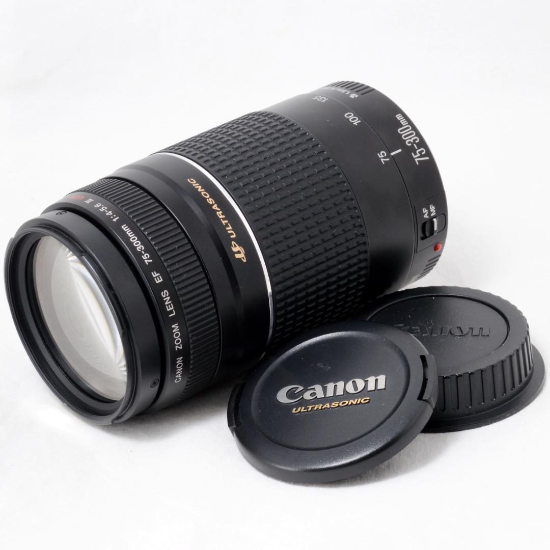 ⭐️美品⭐️Canon キャノン EF 75-300mm 4-5.6 Ⅲ USM