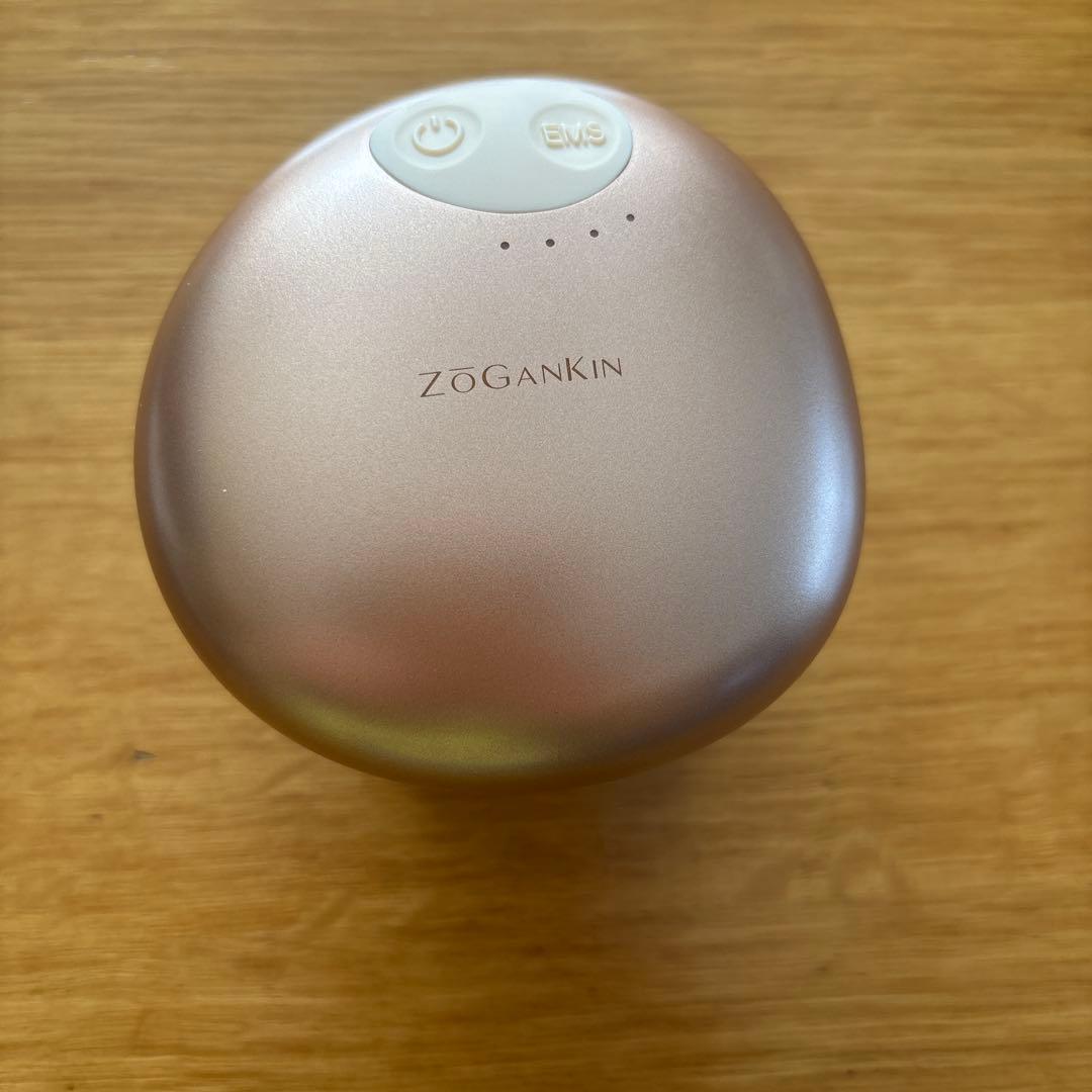 ZOGANKIN EMSスカルプマッサージャー